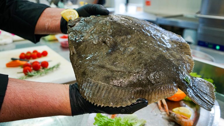 Pesce 5 top